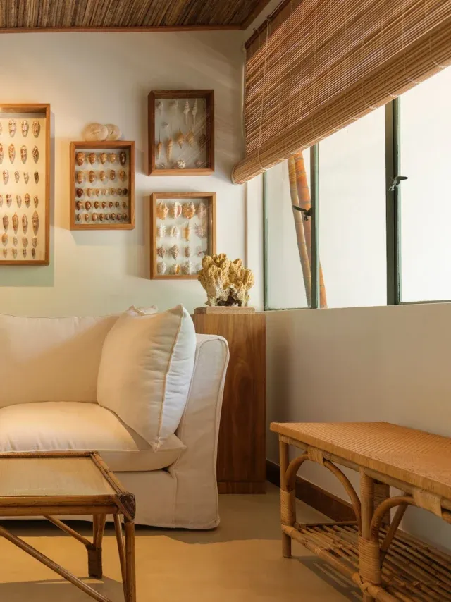 A bespoke seashell and corals collection, curated over time @maisontropical 🐚🪸

#MaisonTropical #Mauritius #CoastalDecor #ShellCollection #CoralCollection
#BoutiqueHotel #TropicalElegance #CuratedSpaces #IslandDesign #CollectedInteriors