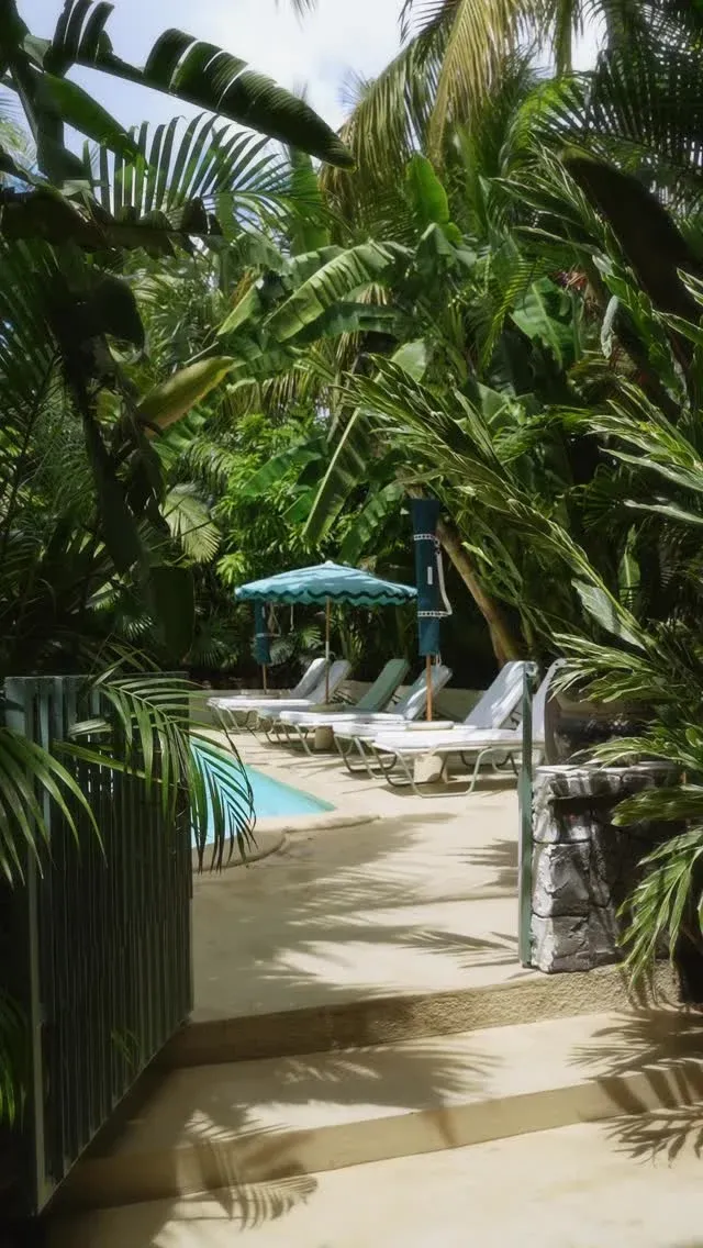 Main character energy @maisontropical 

#mauritius #mauritiusisland #mauritiusexplored #mauritiusescape #mauritiusisland🌴